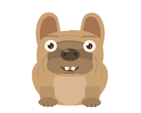 Bolota, buldogue francês.