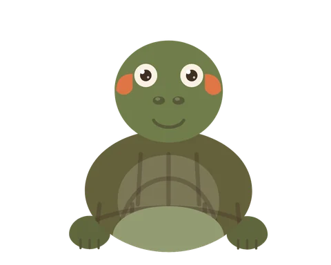 Toco, tartaruga.